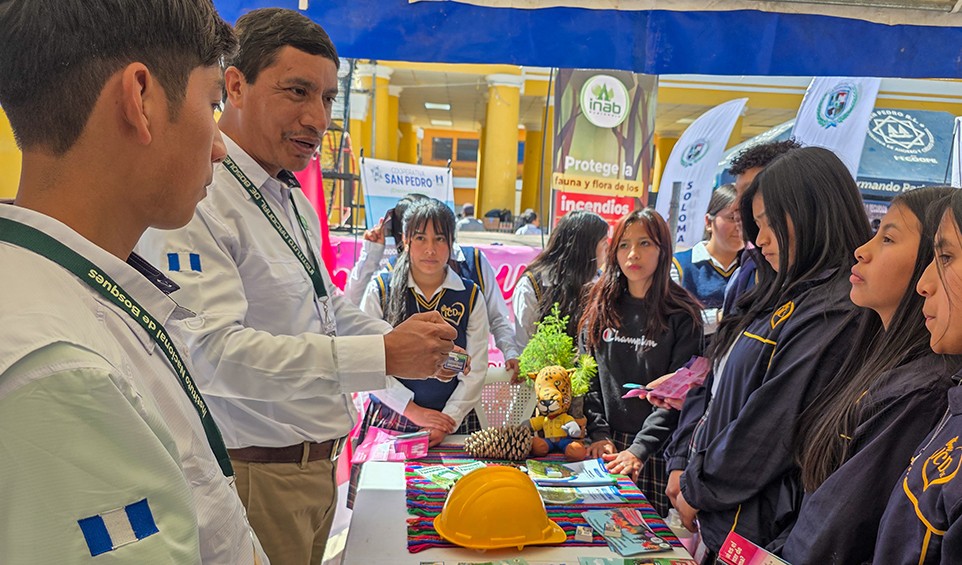 Instituto Nacional de Bosques