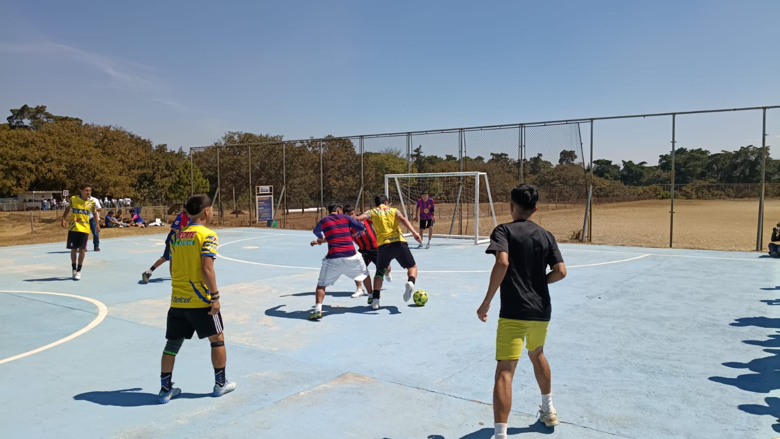 Consejo Nacional del Deporte, la Educación Física y la Recreación