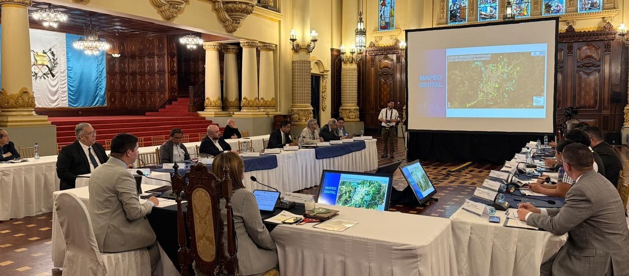 Vicepresidencia de la República